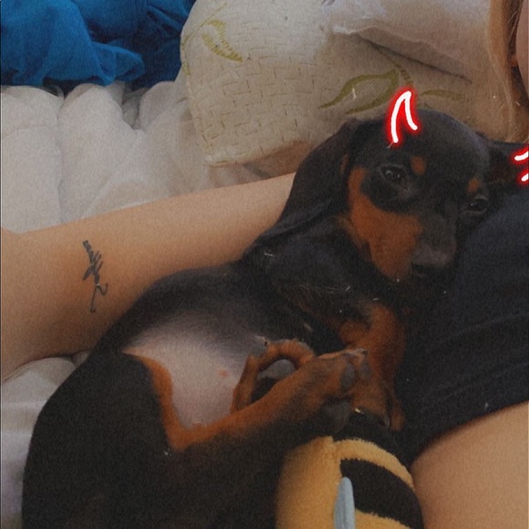 Meet your Posher, Michelle - Picture 1 of 1